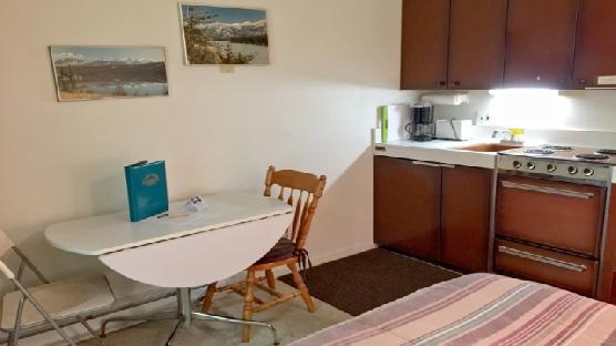 Mt. Baker Lodging Condo #09 - CONVENIENT, INEXPENSIVE, KITCHENETTE, SLEEPS-2!