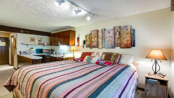 Mt. Baker Lodging Condo #46 – CONVENIENT, ECONOMICAL, KITCHENETTE, SLEEPS-2!
